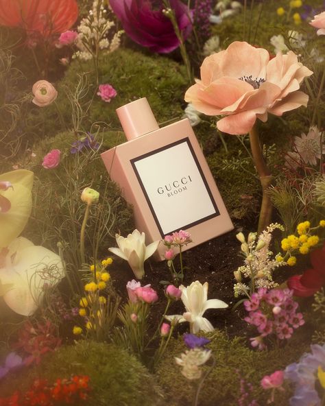 Commercial Product Photography Ideas, Wendy Morrison, Parfum Gucci, Perfume Chanel, Gucci Perfume, Gucci Bloom, Fragrance Photography, New Perfume, Perfume Photography