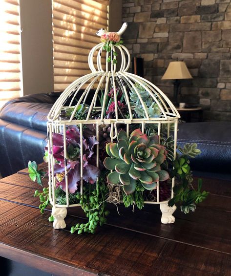 Birdcage Centerpiece, Centerpiece Succulent, Birdcage Planter, Bird Cage Centerpiece, Cloche Decor, Succulent Centerpiece, Floral Grapevine, Succulent Centerpieces, Succulent Garden Diy