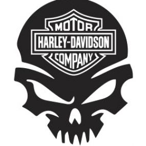 Harley Davidson Kunst, Art Harley Davidson, Logo Harley Davidson, Harley Davidson Breakout Custom, Harley Davidson Shirts, Harley-davidson Sportster, Harley Davidson Decals, Breakout Harley Davidson, Harley Davidson Crafts