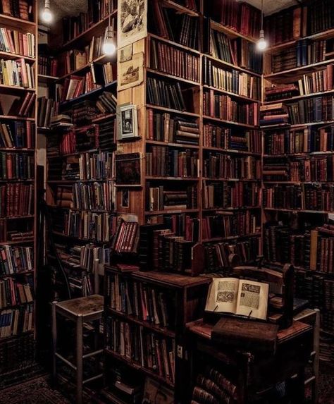 Dusty Attic Rare Books 📚 on Instagram: "Armchair Books Beautiful. #scotland #edinburgh Credit: @alixelay" Old Library Aesthetic, Books On Shelves, Gambit Wallpaper, Dark Academia Library, Ancient Library, Old Libraries, Academia Aesthetics, Dream Library, Old Library