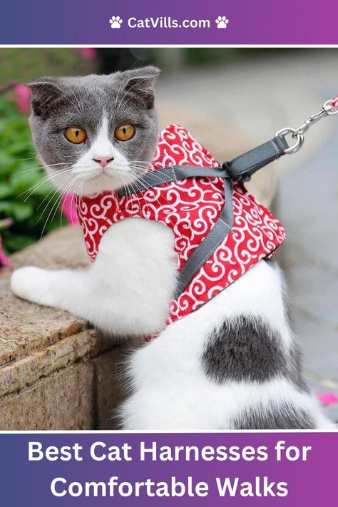 Looking for the best cat harnesses for safe outdoor adventures? Discover top picks that offer comfort, security, and style for your feline friend! Best Cat Harness, High Tech Gadgets, Cat Harness, Best Cat, Cat Health, Tech Gadgets, Outdoor Adventures, Cool Cats, Outdoors Adventure