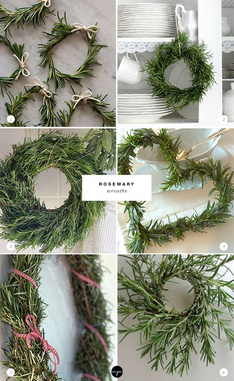 Rosemary Christmas Tree, Julkransar Diy, Natal Natural, Make A Wreath, Natural Christmas, Deco Floral, Noel Christmas, Christmas Wreaths Diy, Holiday Diy