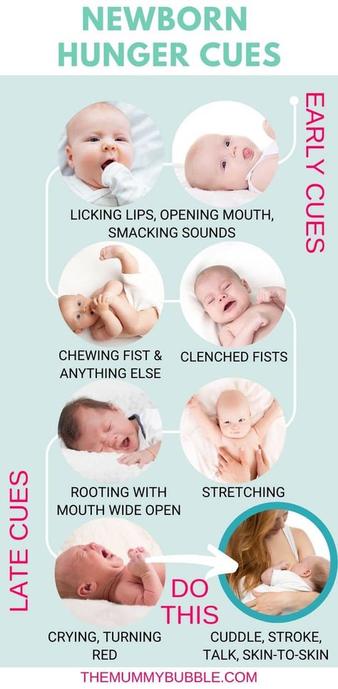 Baby Hunger Cues, Newborn Language, Baby Cues, Feeding Cues, Newborn Development, Hunger Cues, Baby Language, Baby Guide, Baby Routine