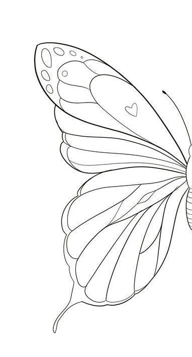 Butterfly Art Drawing, Art Papillon, Butterfly Art Painting, Adults Coloring, Books For Children, Pola Sulam, Butterfly Drawing, 자수 디자인, Art Tattoos