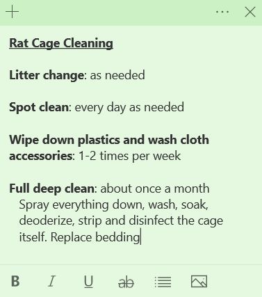 Rat Information, Pet Rat Supplies, Pet Rats Cages Diy, Pet Rat Tips, Rat Care Tips, Pet Rat Cages Ideas, Rat Cage Diy, Rat Facts, Types Of Rats