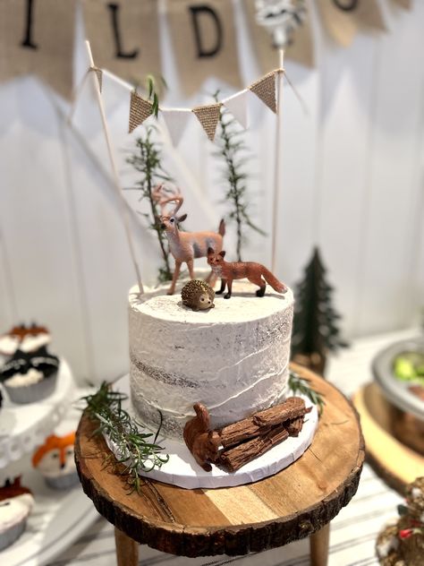 Woodland Birthday Cake, Forest Birthday, Rustic Party, Wild One Birthday Party, Baby Shower Party Ideas, Woodland Birthday, Shower Party Ideas, Animal Cake, Rustic Cake