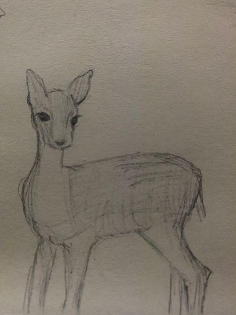 Dear Drawing Easy, Deer Doodle, Deer Drawing Easy, Deer In Headlights, Speed Draw, Deer Drawing, Draw Ideas, A Deer, Dibujos Cute