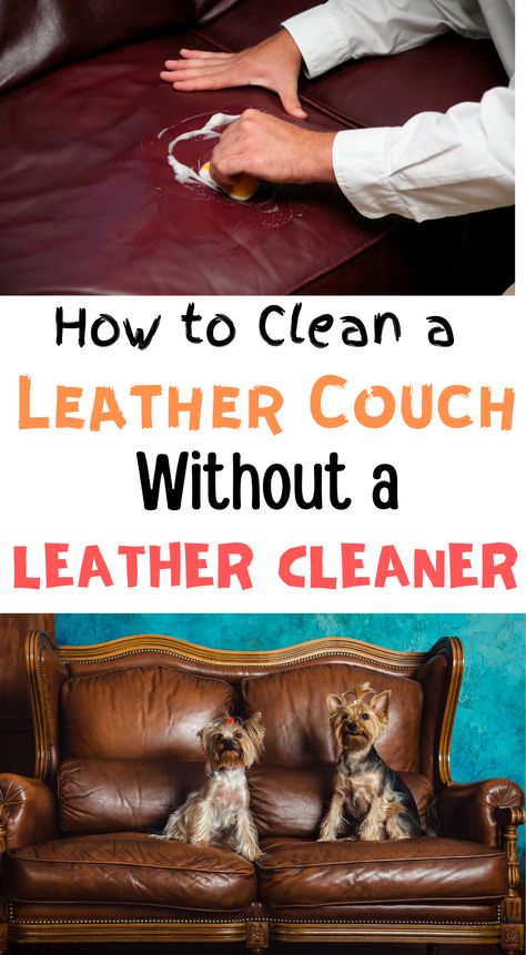 Just like other furniture, leather couches get dirty too. However, cleaning can be tricky if you don't want to ruin the material. These hacks will show you how to clean your leather couch with or without a leather cleaner to keep it looking fantastic for decades. #cleaningleathercouch#howtocleanleathercouch#leathercleaner#cleaningtips#hometips#cleaninghacks Clean Leather Couch, Clean Hacks, Homemade Toilet Cleaner, Clean Baking Pans, Cleaning Painted Walls, Glass Cooktop, Deep Cleaning Tips, Leather Couch, Clean Dishwasher