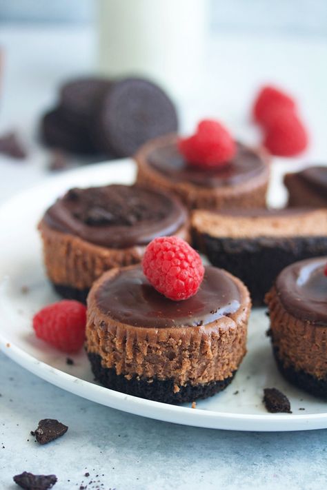 Mini Chocolate Cheesecakes – 5 Boys Baker Chocolate Holiday Desserts, Amazing Dessert Recipes, Mini Chocolate Cheesecakes, Creamy Chocolate Cheesecake, Cheesecake Layer, Chocolate Raspberry Cheesecake, Easy Holiday Desserts, Chocolate Cheesecake Recipes, Holiday Baking Recipes