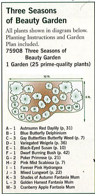 GARDENING: Garden plan a week, Week 2, Three Seasons of Beauty » UrbanDomesticDiva Landscape Tips, Flower Garden Plans, Spring Hill Nursery, Garden Plan, Sun Garden, Homestead Survival, Perennial Garden, Garden Yard, Survival Guide