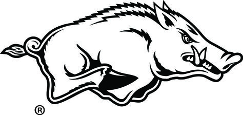 Arkansas Razorbacks Football, Stencils Printables, Pumpkin Carvings Stencils, Screen Printed Tshirts, Pumpkin Carving Templates, Custom Screen Printing, Silhouette Images, University Of Arkansas, Arkansas Razorbacks