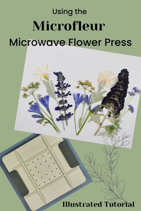 Microfleur Flower Press, Microwave Flower Press, Flower Press, Pressed Flowers, Dried Flowers, How To Use, Craft Projects, To Create, Flowers