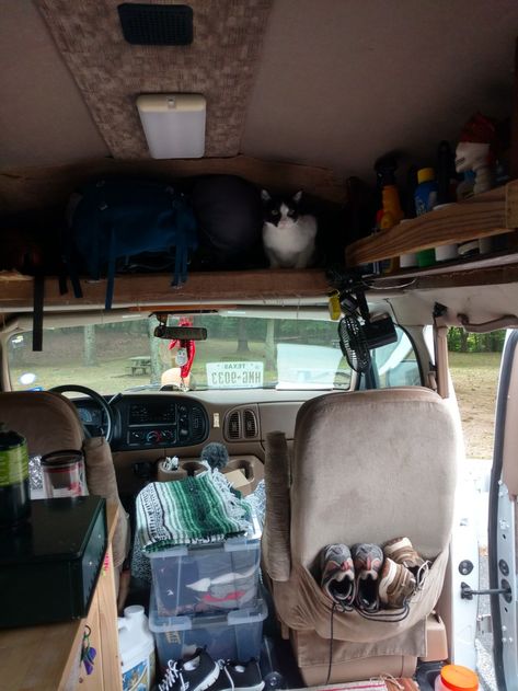 Airstream Living, Dodge Ram Van, Cat Company, Ram Van, Hippie Living, Campervan Life, Rv Ideas, Hippie Home Decor, Tiny House Interior