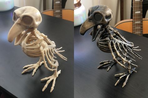 Repainting a plastic bird skeleton - before and after How To Age Plastic Skeleton, Halloween Bones Decorations, How To Age A Plastic Skeleton, Plastic Skeleton Crafts, Diy Halloween Skeleton Decorations, Diy Skeleton Decor, Halloween Haunted House Ideas, Scary Witch Costume, Diy Halloween Props