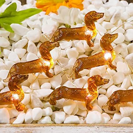 Amazon.com: Impress Life Pet Theme Decorative String Lights, 10ft 30 LED Dachshund Dog Twinkle Lights, USB Battery Operated with Remote for Indoor Covered Outdoor Wedding Birthday Christmas Parties Ornament : Home & Kitchen Decorative String Lights, Garland Lights, Led Ball, Funny Animals With Captions, Creative Money Gifts, Ball Garland, Fairy Wedding, Indoor String Lights, Dachshund Gifts