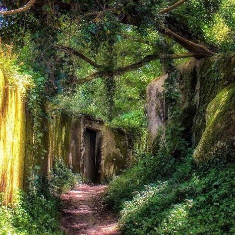 Magical Sintra (Portugal) by Taylor (@taylormoorephoto) on Instagram cr.🇵🇹 Portugal Sintra, Hidden Passage, Tree Tunnel, Magic Night, Sintra Portugal, Scenery Pictures, Forest Path, Fantasy Places, Back Road