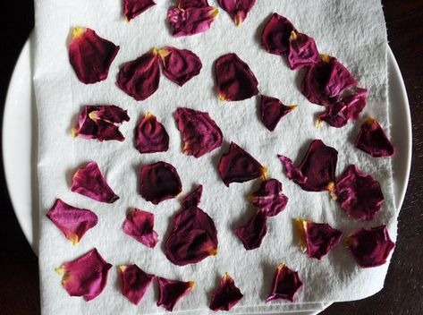 dry-rose-petals-tutorial-5 Drying Rose Petals, Dry Rose Petals, Natural Potpourri, Floral Confetti, Dry Rose, Diy Entertainment, Purple Lily, Real Rose Petals, Drying Roses