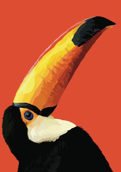 Hey, I found this really awesome Etsy listing at https://www.etsy.com/uk/listing/704751817/toucan-bird-art-print-toucan-art-bird Toucan Art, Toucan Bird, Kunst Inspiration, Bird Artwork, Bird Art Print, Art Bag, Fox Art, Animal Sketches, Tropical Birds