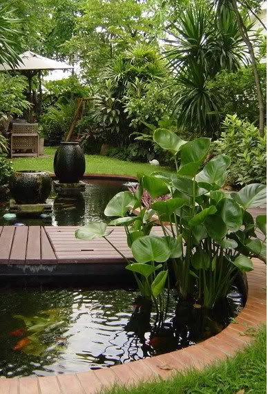 Backyard Ponds, Garden Ponds, Small Pond, Garden Landscaping Ideas, Pond Landscaping, Koi Ponds, Pond Ideas, Pond Design, Water Features In The Garden