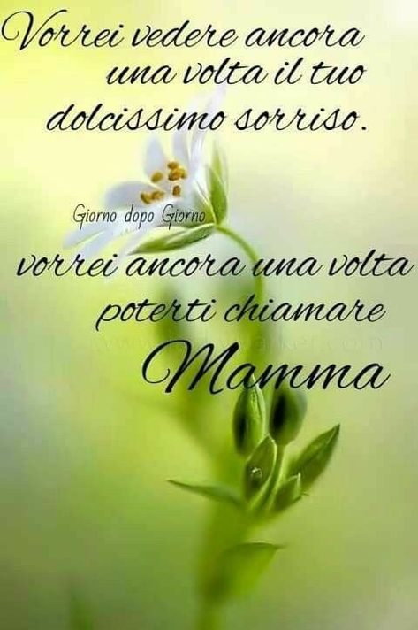 Mamma In Cielo, Love Your Life, Love You