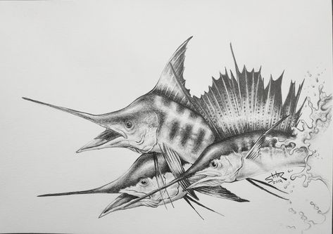 pencil drawing. Sailfish and marlins Sailfish Tattoo, Marlin Drawing, Marlin Tattoo, Water Tattoo, Fish Artwork, Blue Marlin, Arm Tattoos, Ink Blue, Skin Art