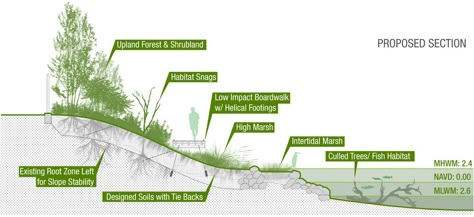 Projects — terrain nyc Landscape Architecture Section, Landscape Diagram, Landscape Architecture Diagram, Wetland Park, Architecture Presentation Board, Site Analysis, Architectural Section, Landscape And Urbanism, Landscape Architecture Design