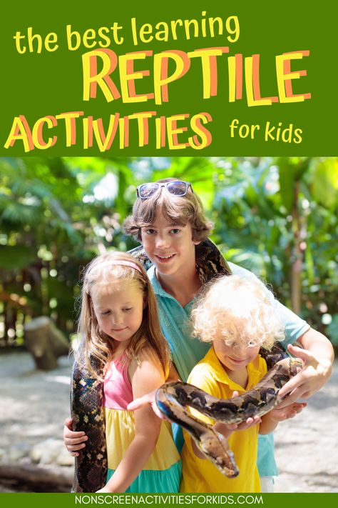 Reptile Stem Activities, Snake Stem Activities, Lizard Activities For Kids, Reptile Activities For Kids, Reptile Activities For Preschool, Reptile Crafts For Kids, Non Screen Activities, Reptiles Kindergarten, Reptile Activities