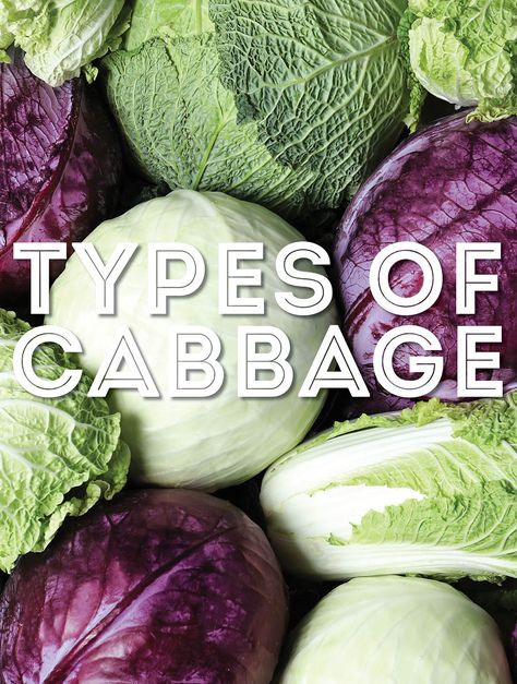 Whether you are looking to munch or to make kimchi, in this post we will cover 23 types of cabbage that can be used for cooking, eating, or fermenting! From A to Z, we will guide you through the origin, flavor, and uses of all different kinds of cabbage. Make Kimchi, Cabbage Varieties, Types Of Cabbage, Choy Sum, Glam Wedding Makeup, Savoy Cabbage, Meatless Main Dishes, Chinese Cabbage, Cabbage Leaves