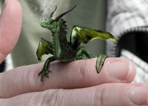 baby dragon, green Weasley Aesthetic, Types Of Dragons, Mini Dragon, Tiny Dragon, Dragon's Lair, Pet Dragon, Fairy Dragon, Dragon Pictures, Green Dragon