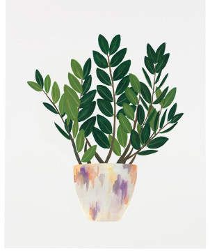 Lulu & Georgia ZZ Plant Print Plant Art Print, Zz Plant, Parenting Classes, Plant Painting, Plant Drawing, Art Et Illustration, Plant Illustration, Plant Print, Plant Art