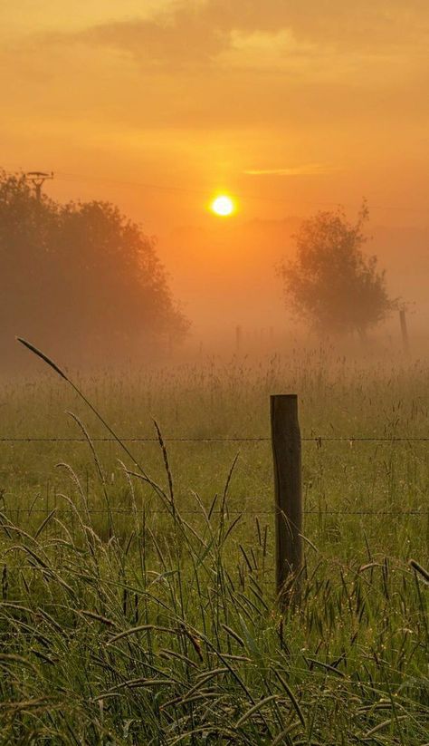 Morning Mist Aesthetic, Foggy Sunrise Aesthetic, Foggy Spring Morning, Mid Morning Aesthetic, Morning Fog Aesthetic, Spring Morning Aesthetic, Foggy Morning Photography, Foggy Weather Aesthetic, Morning Vibes Photography