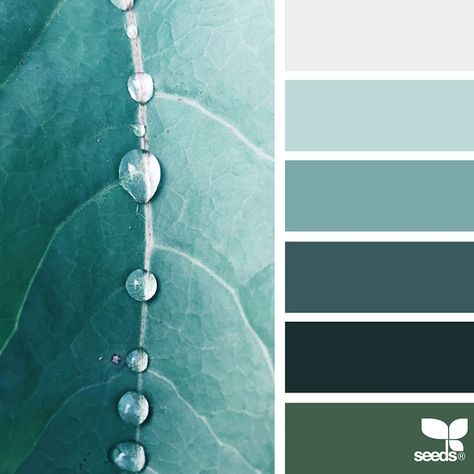 palette-16 Seeds Color Palette, Website Colors, Seeds Color, Palette Design, Nature Color Palette, Colors Palette, Bedroom Color Schemes, Color Palate, Design Seeds