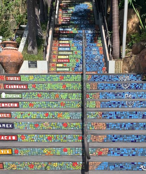 Wooden Walkways, Kinds Of Shapes, Exhibition Display, Hope For The Future, Traditional Music, San Pedro, Handmade Soaps, Island Life, Puerto Rico