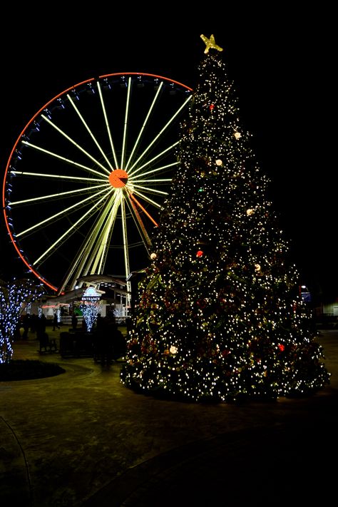 Gatlinburg Tn, Classy Christmas, Im Falling In Love, Pigeon Forge, Gatlinburg, Great Smoky Mountains, Smoky Mountains, Christmas Eve, Family Fun