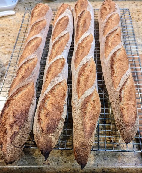 Tartine Bread Baguettes | The Dawg House! Tartine Bread, Bread Baguette, Baguette Recipe, Maillard Reaction, Protein Bread, Real Bread, Making Bread, Whole Wheat Flour, Bread Flour