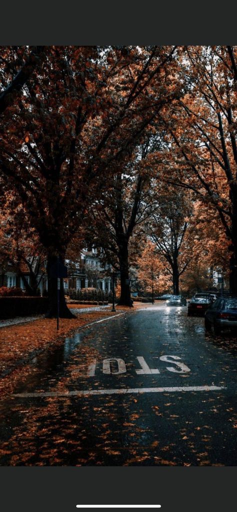 Fall Neighborhood Aesthetic, Forest Cartoon, Fall Aesthetics, November Wallpaper, Fall City, Rainy Day Aesthetic, Autumn Rain, Fall Background, Autumn Scenery