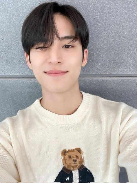 daily mingyu 🐶 on Twitter: "blessing your timeline with mingyu selca https://t.co/WcJpiaHZUy" / Twitter Choi Hansol, Kim Min Gyu, Won Woo, Going Seventeen, Seventeen Debut, Mingyu Seventeen, Pledis 17, Kim Min, Pledis Entertainment