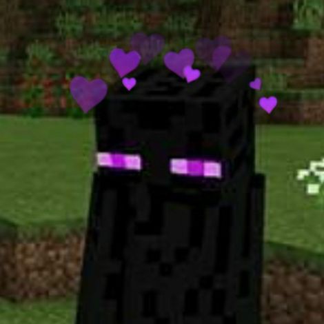 Funny Minecraft Pfp, Enderman Pfp, Minecraft Pfp Aesthetic, Minecraft Icons Aesthetic, Enderman Aesthetic, Minecraft Pfp, Love Minecraft, Minecraft Images, Mc Wallpaper