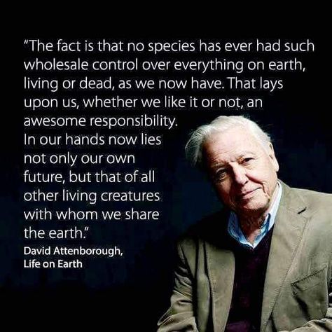 Humankind's awesome responsibility – a quote from David Attenborough – 'Life On Earth' Planet Destruction, Biology Quotes, David Attenborough Quotes, Environmental Quotes, Quotes About Change, Save Our Earth, David Attenborough, Climate Crisis, Life On Earth