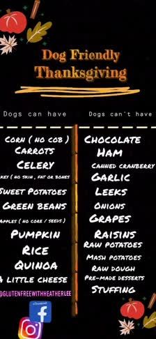 Dog Friendly Thanksgiving Dog Friendly Thanksgiving Dinner, Dog Thanksgiving Dinner, Canned Cranberries, Dog Thanksgiving, Raw Potato, Potato Rice, Interesting Recipes, Holiday Dinner, Thanksgiving Dinner