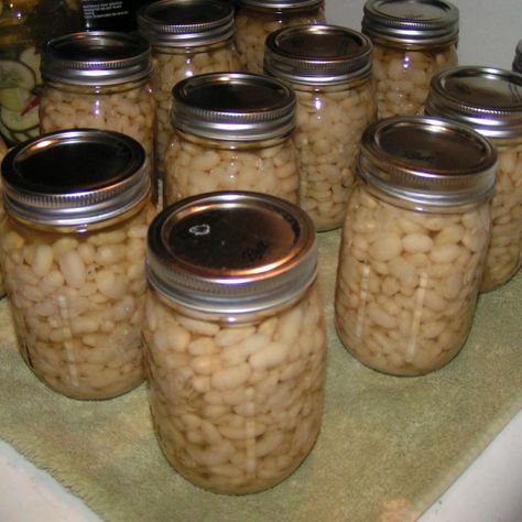 Canning Dried Beans or Peas Canning Dry Beans, Canning Dried Beans, Canning Jar Gifts, Dried Peas, Tater Tot Recipes, Freezing Fruit, Canning Kitchen, Peas Recipe, Canning Food Preservation