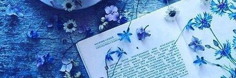 Neuvillette Header, Blue Aesthetic Banner, Notion Aesthetic, Cute Headers For Twitter, Arte Peculiar, Twitter Header Pictures, Cute Banners, Twitter Header Photos, Blue Banner