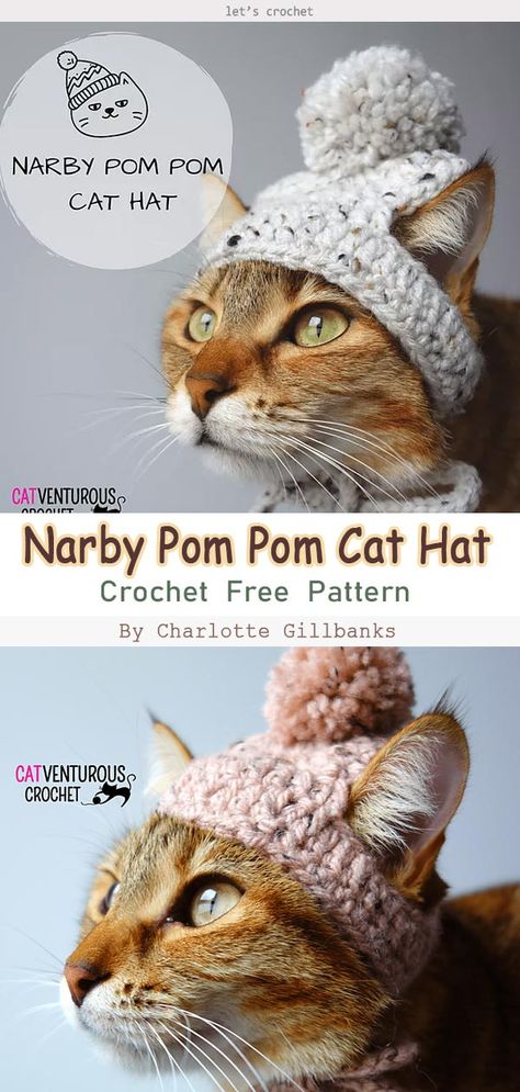 Crochet For Kittens, Crochet Collar For Cat, Crochet Stuff For Cats, Crochet Cat Outfits, Crochet Cat Patterns Free, Crochet Things For Cats, Crochet Cat Sweater Free Pattern, Crochet Hats For Cats, Crochet Cat Clothes