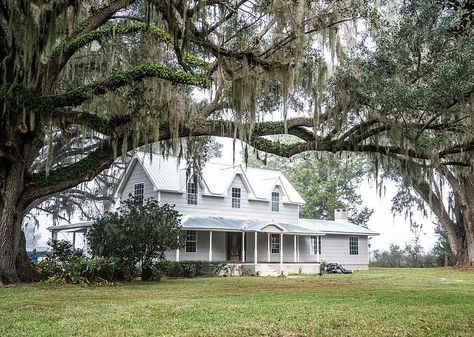 Love that setting! An old vineyard. 20 acres in Florida. Circa 1901. $749,707 – The Old House Life Cozy Office, Rural Living, Childhood Books, Old Florida, Spacious Kitchens, Spacious Living Room, Wainscoting, Metal Roof, Built Ins