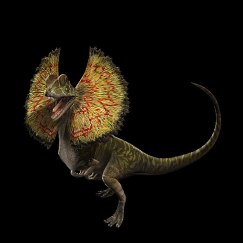 Dilophosaurus Jurassic World, Jurassic Park The Game, Dinosaur Png, Jurrasic Park, Dinosaur Images, Dinosaur Drawing, Dinosaur Pictures, Jurassic World Dinosaurs, Jurassic Park World