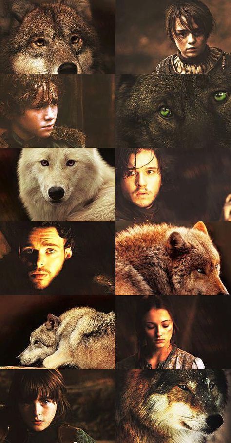 All those sweet Dire Wolves. (I think I loved Shaggy Dog best.) Stark Children, Game Of Thrones Facts, Game Of Thrones 3, Ned Stark, Got Game Of Thrones, Fire And Blood, The North Remembers, Yennefer Of Vengerberg, Dire Wolf