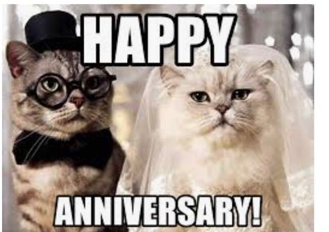 Wedding Anniversary Meme, Work Anniversary Meme, Happy Anniversary Meme, Birthday Meme Dog, Anniversary Memes, Happy Anniversary Funny, Happy Anniversary Mom Dad, Funny Anniversary Wishes, Happy 25th Anniversary