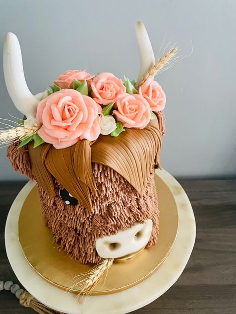 Highland Cow Cake, Cow Cake, Cow Cakes, Highland Cow, Cow, Cake