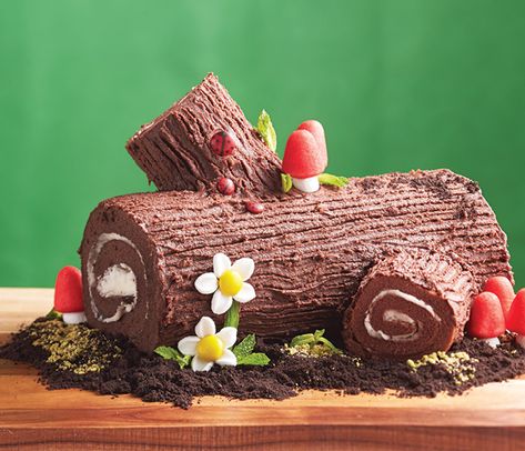 Swiss Roll Birthday Cake, Roll Birthday Cake, Roulade Cake, Gruffalo Party, Chocolate Log, Woodland Fairy Party, Woodland Party Theme, Diy Birthday Cake, Woodland Cake