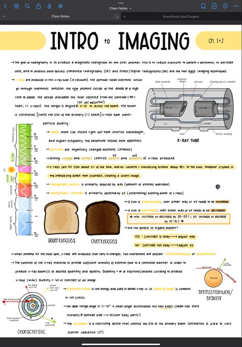 Xray Positioning Chart, Radiology Cheat Sheets, Radiology Tech Student Aesthetic, X Ray Study Notes, Radiology Student Must Haves, Radiography Student Study, Radiology Tech Student, Radiology Student Study Rad Tech, Radiography Student Aesthetic